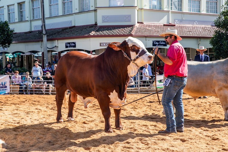 Beef Casino Erfahrungen - Echte Spieler berichten über das Online Casino Beef Casino Erfahrungen - Echte Spieler berichten über das Online Casino