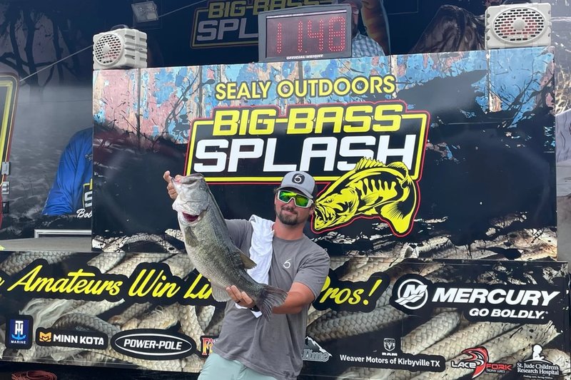 Overview of big bass splash demo