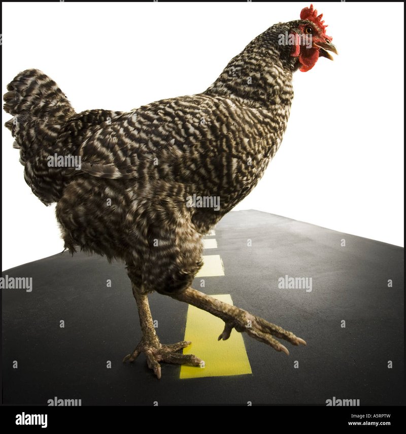 Image: Découvrez le nouveau jeu de casino en ligne Chicken Road à France Image: Découvrez le nouveau jeu de casino en ligne Chicken Road à France